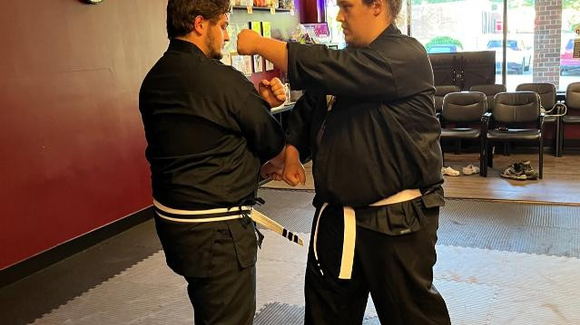 Image 3 from WOLF Martial Arts partner gallery