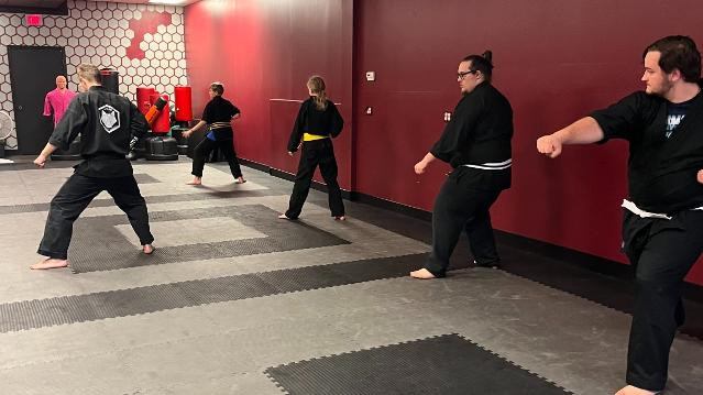 Image 1 from WOLF Martial Arts partner gallery