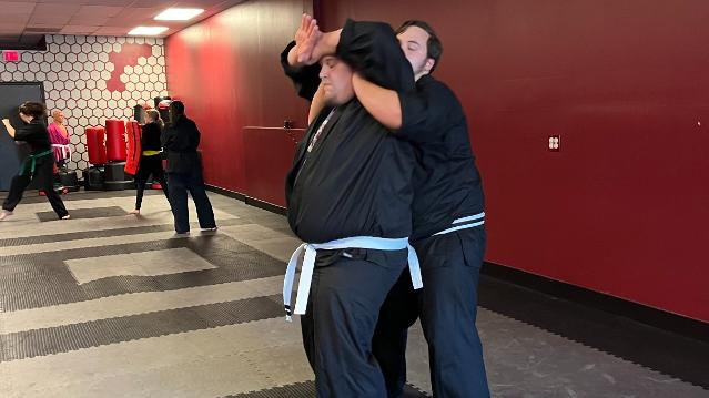 Image 2 from WOLF Martial Arts partner gallery