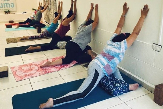 Imagen 1 de la galería del partner UMA (Bienestar emocional)