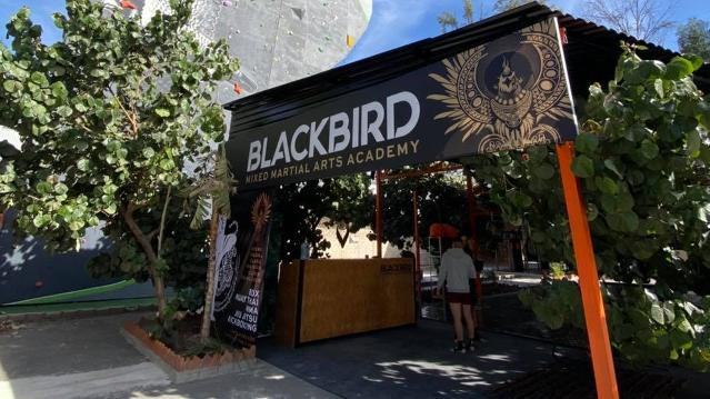 Imagen 1 de la galería del partner Black Martials