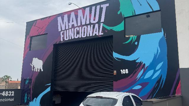 Imagem 2 da galeria do parceiro Mamut Funcional