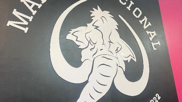 Imagem 3 da galeria do parceiro Mamut Funcional