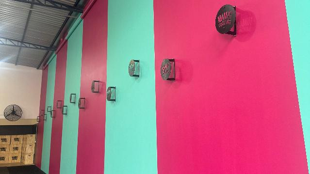 Imagem 1 da galeria do parceiro Mamut Funcional