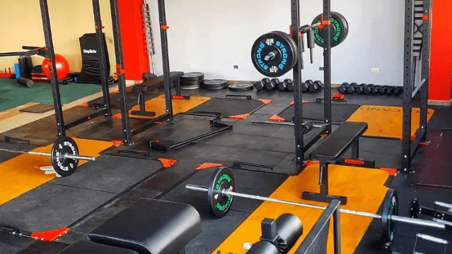 Imagen 1 de la galería del partner Élite Fuerza y Acondicionamiento