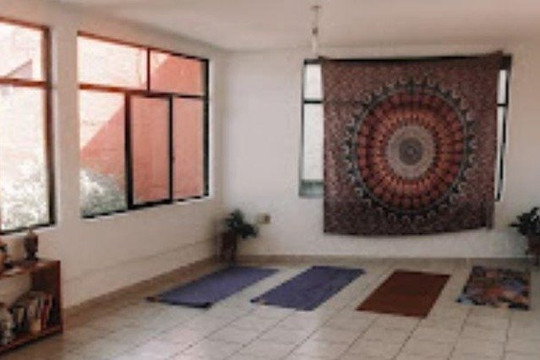 Imagen 1 de la galería del partner Anahata Yoga Shala