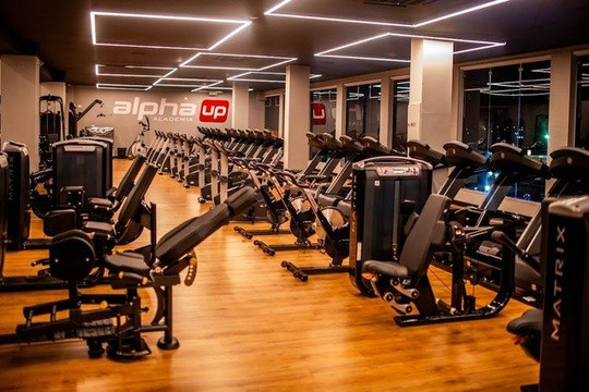 Imagem 1 da galeria do parceiro Alphaup-Euro