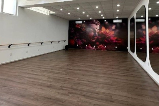 Imagen 1 de la galería del partner Sukha Studio