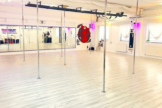 Image 2 from Body Synergy Pole partner gallery