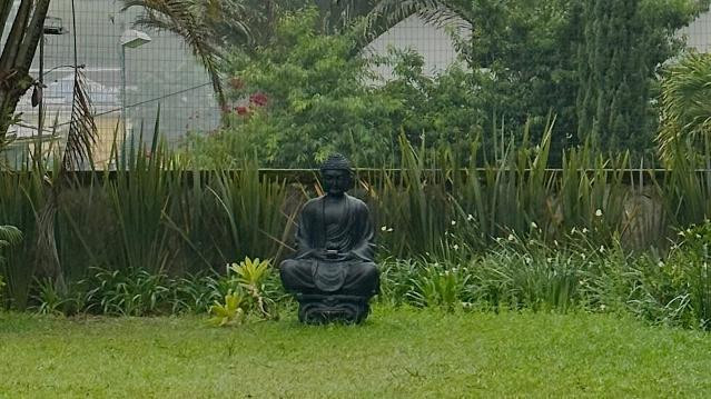 Imagem 1 da galeria do parceiro Instituto Ganesha