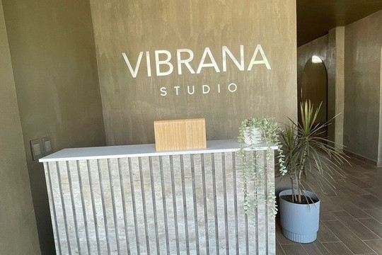 Imagen 1 de la galería del partner Vibrana Studio