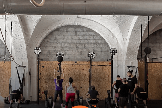 Immagine 3 dalla galleria del partner Ofit