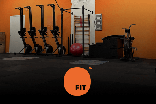 Immagine 1 dalla galleria del partner Ofit