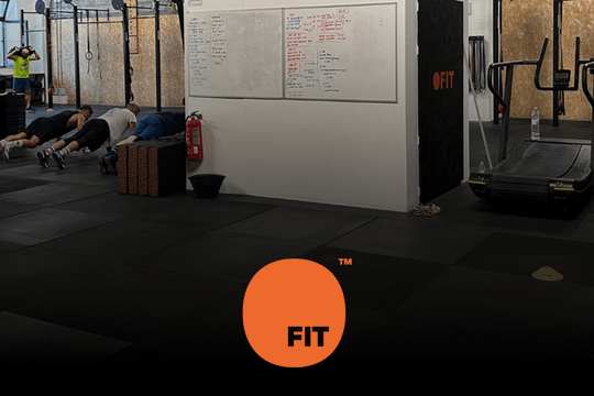 Immagine 2 dalla galleria del partner Ofit