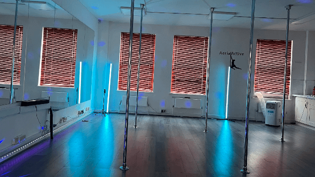 Image 1 from Aerialactive Pole Dancing Studio partner gallery