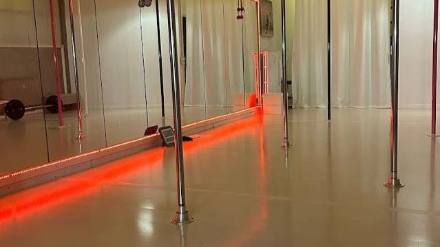 Immagine 3 dalla galleria del partner Pole Dance Area Merlese