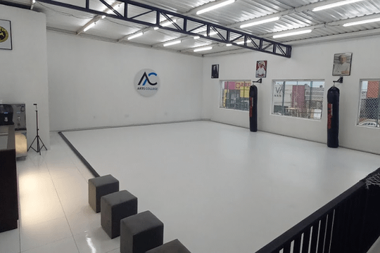 Imagem 1 da galeria do parceiro Arts College