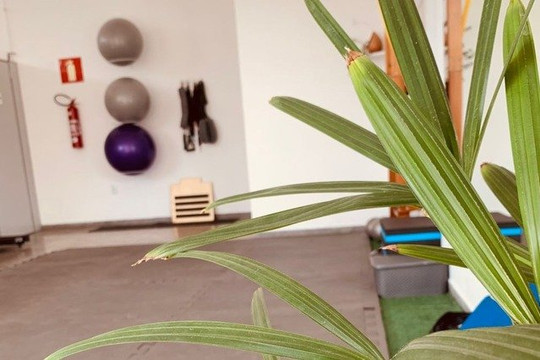 Imagem 1 da galeria do parceiro Studio Linear