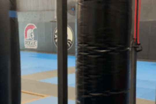 Image 3 from Rogue Jiu Jitsu Academy partner gallery