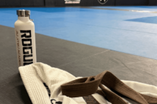 Image 1 from Rogue Jiu Jitsu Academy partner gallery