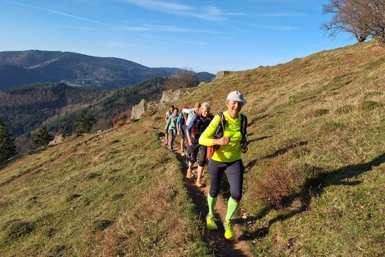 Bild 3 von Laufkurse Lörrach Partnergalerie