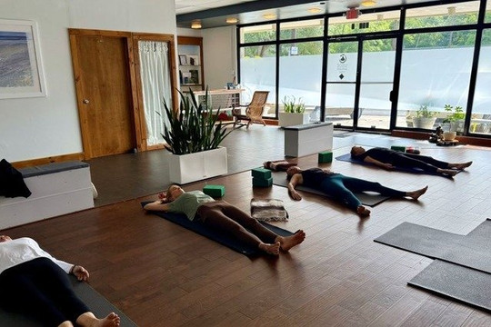 Image 1 from MANYA Whole Health & Yoga partner gallery