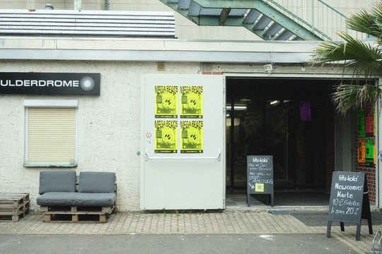 Bild 2 von boulderdrome Radebeul Partnergalerie