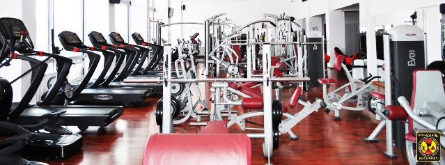 Imaginea 2 din Clubul Sportiv Ciprian Sora galeria partenerului