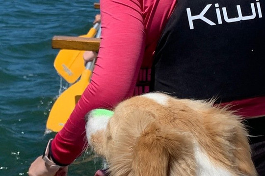 Imagem 3 da galeria do parceiro Ohana Va’a Club