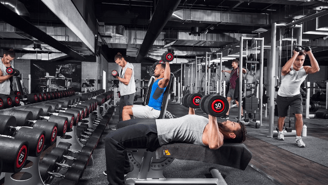 Immagine 1 dalla galleria del partner McFit Trieste