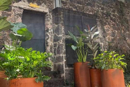 Imagen 2 de la galería del partner Lava Studio