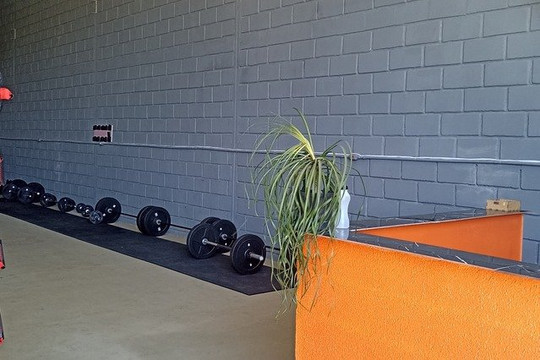 Imagem 3 da galeria do parceiro Virtude Funcional