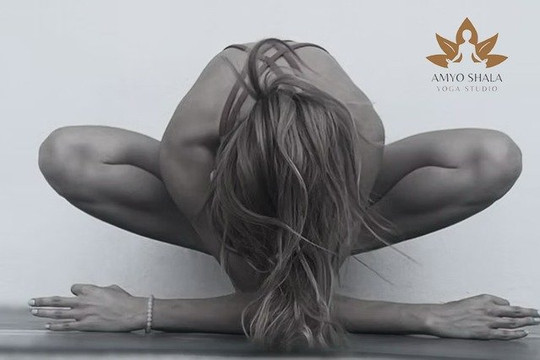 Imagen 1 de la galería del partner AMYO SHALA