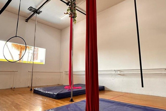 Imagem 3 da galeria do parceiro Aline Mota Aéreos