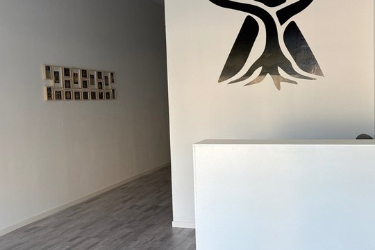 Imagen 3 de la galería del partner Nebari Jiu Jitsu