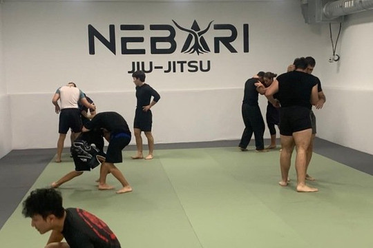 Imagen 1 de la galería del partner Nebari Jiu Jitsu