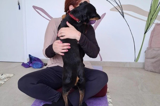 Imagem 3 da galeria do parceiro Studio Kelly Yoga