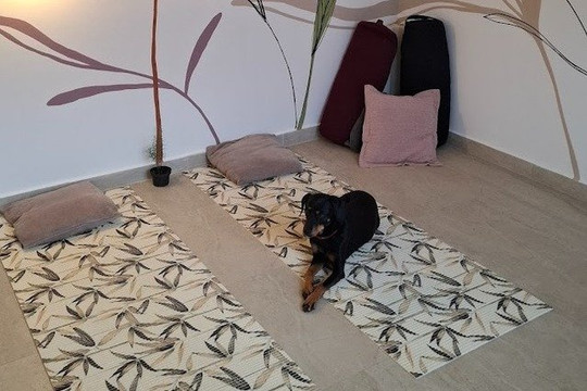 Imagem 1 da galeria do parceiro Studio Kelly Yoga