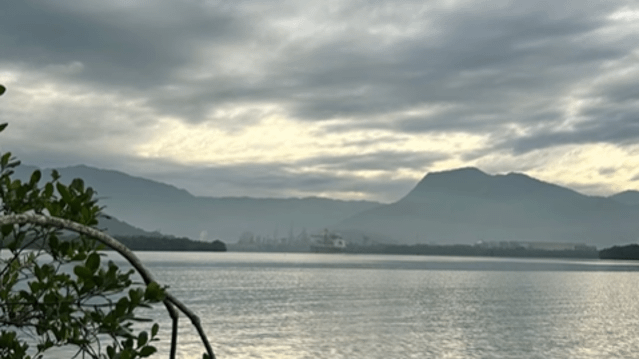 Imagem 1 da galeria do parceiro Marina Andrade Canoagem