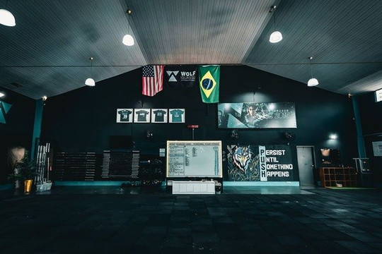 Imagem 3 da galeria do parceiro Wolf Iguassu - MMT