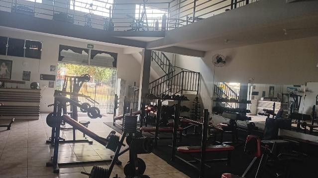 Imagem 3 da galeria do parceiro Academia Treine