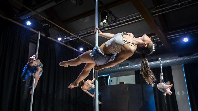 Immagine 1 dalla galleria del partner ASD My Pole Studio - Aurora