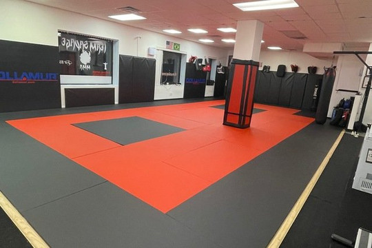 Image 1 from Team Savage MMA partner gallery