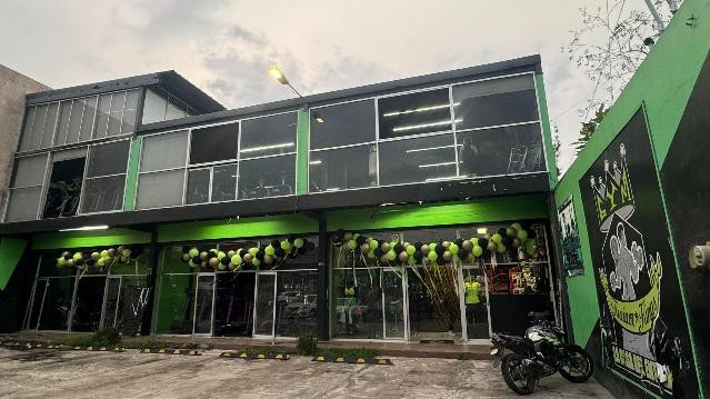 Imagen 1 de la galería del partner Trainer Kings Gym