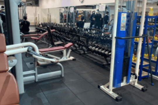 Immagine 1 dalla galleria del partner Four Moving Trani