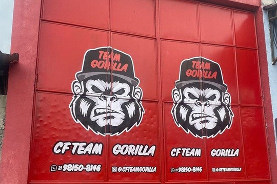 Imagem 2 da galeria do parceiro CF Team Gorilla
