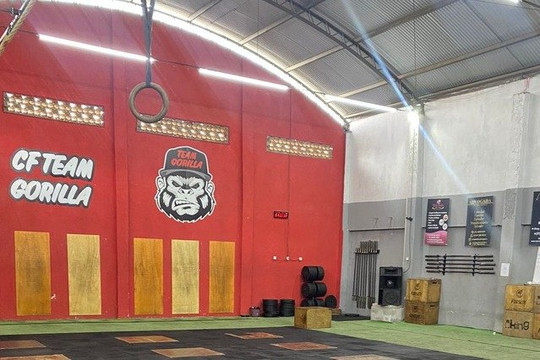 Imagem 1 da galeria do parceiro CF Team Gorilla