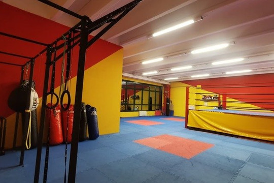 Immagine 2 dalla galleria del partner Kinesis Gym Reggiolo