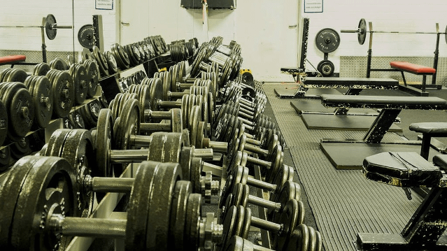 Bild 3 von Bernd Wolf Gym Pur Partnergalerie