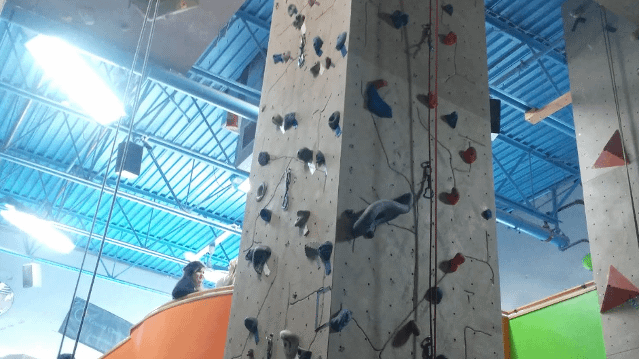 Image 1 de la galerie du partenaire Coastal Climbing Centre